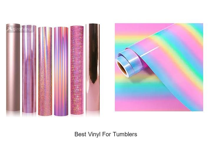 THE BEST VINYL FOR TUMBLERS REVEALED!